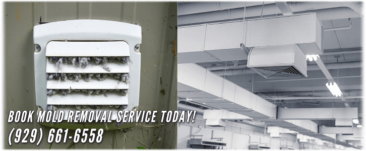 Air Duct Mold Removal in Staten Island NY